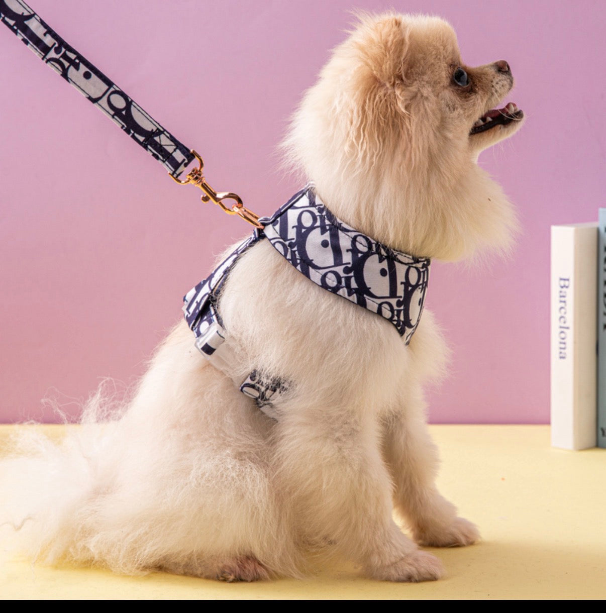 Premium Hundegeschirr + Leine – Elegantes Designer-Muster