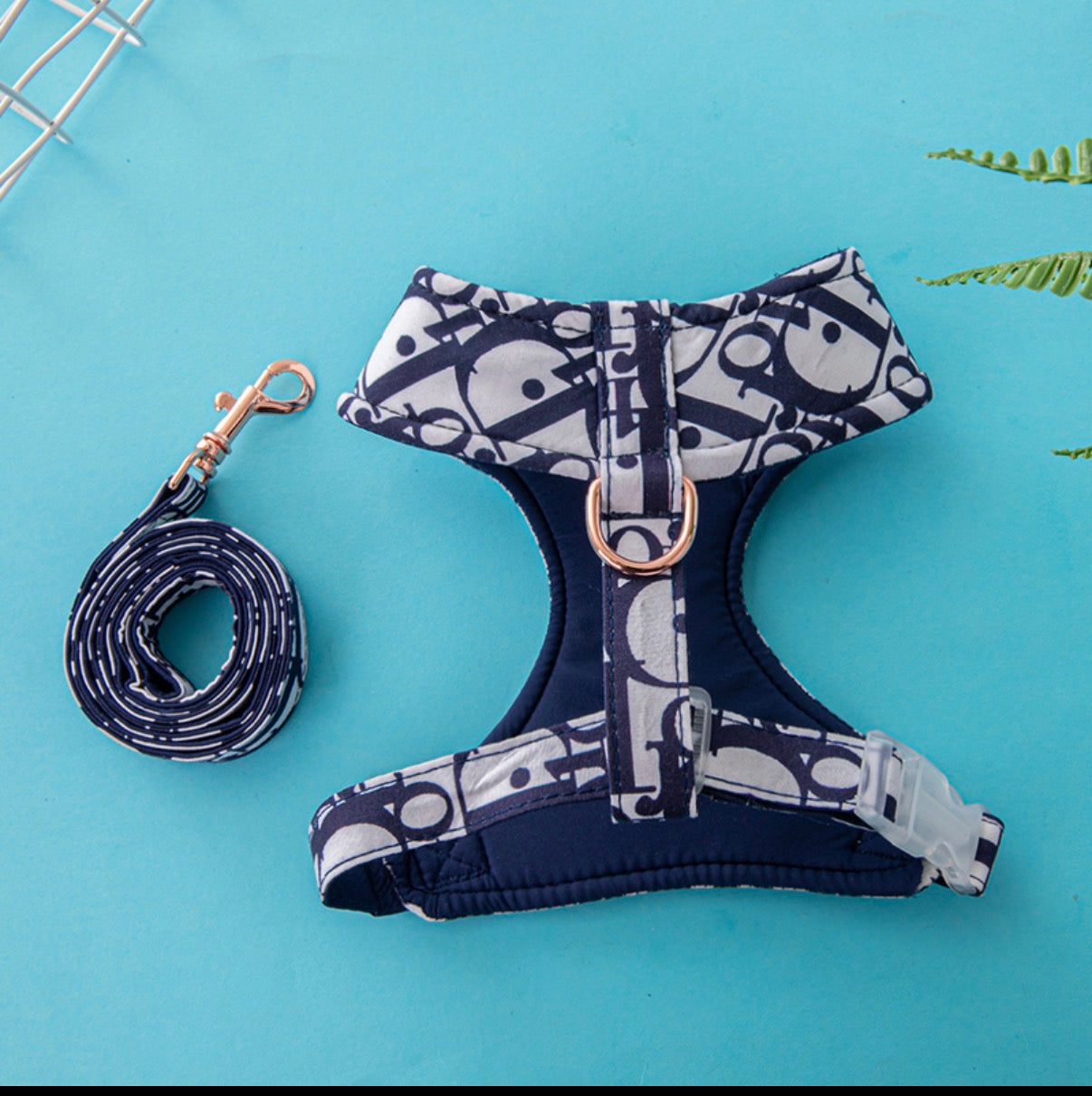 Premium Hundegeschirr + Leine – Elegantes Designer-Muster