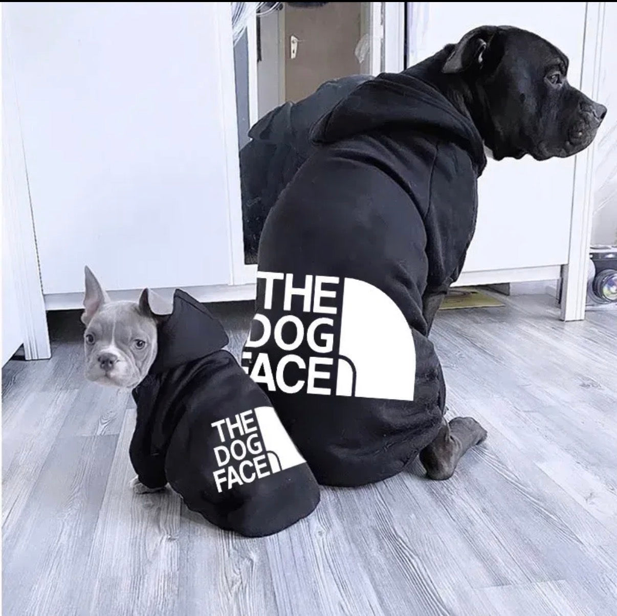 🐾 Stylischer Hunde Hoodie – Urban Streetwear Look für Vierbeiner