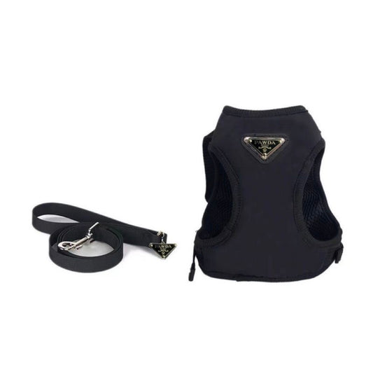 Luxus Hundegeschirr Set