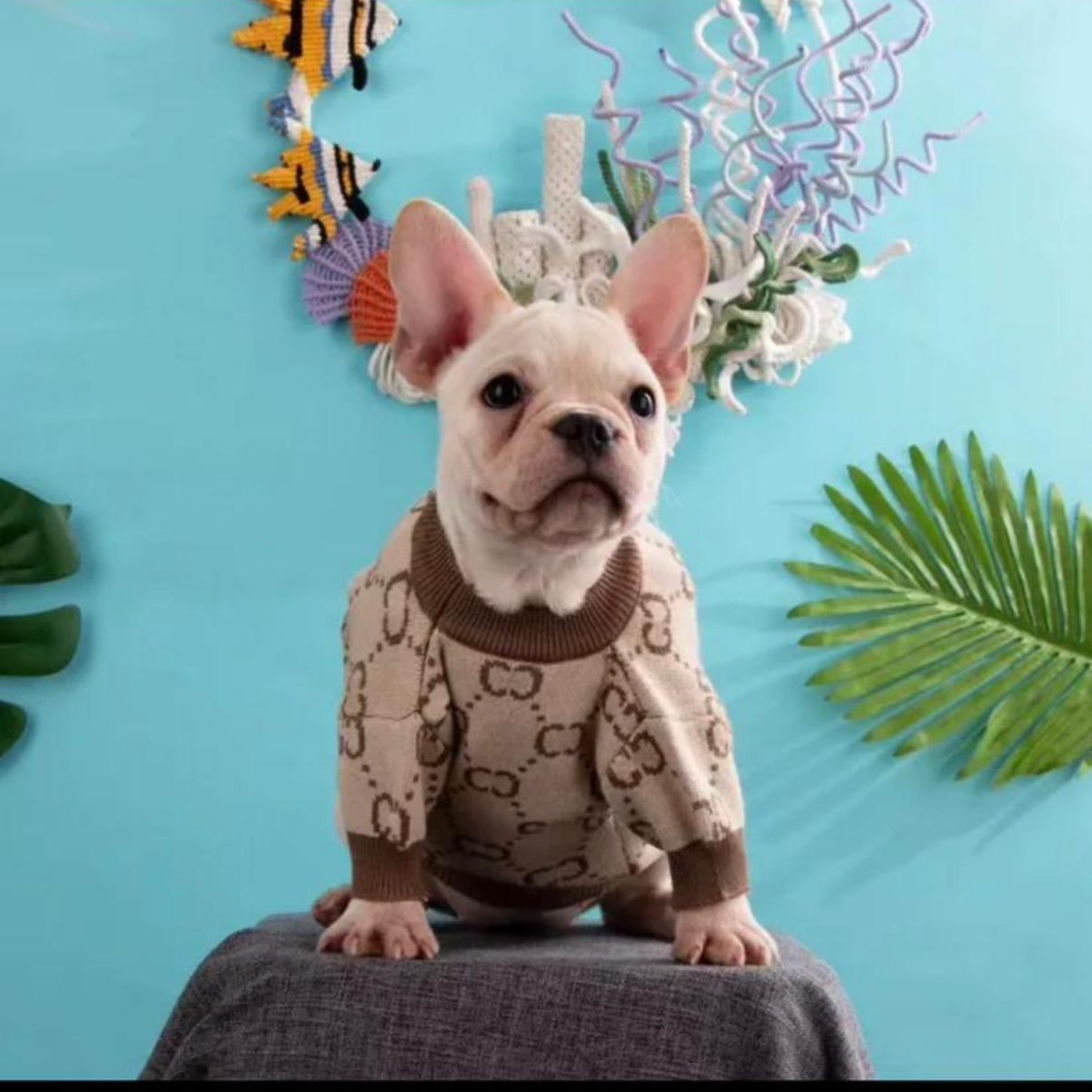 Luxuriöser Strickpullover