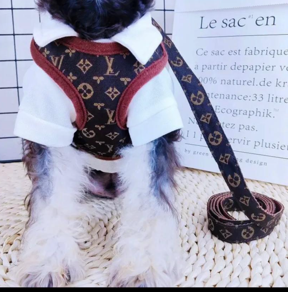 Luxus Geschirr-Set für Hunde