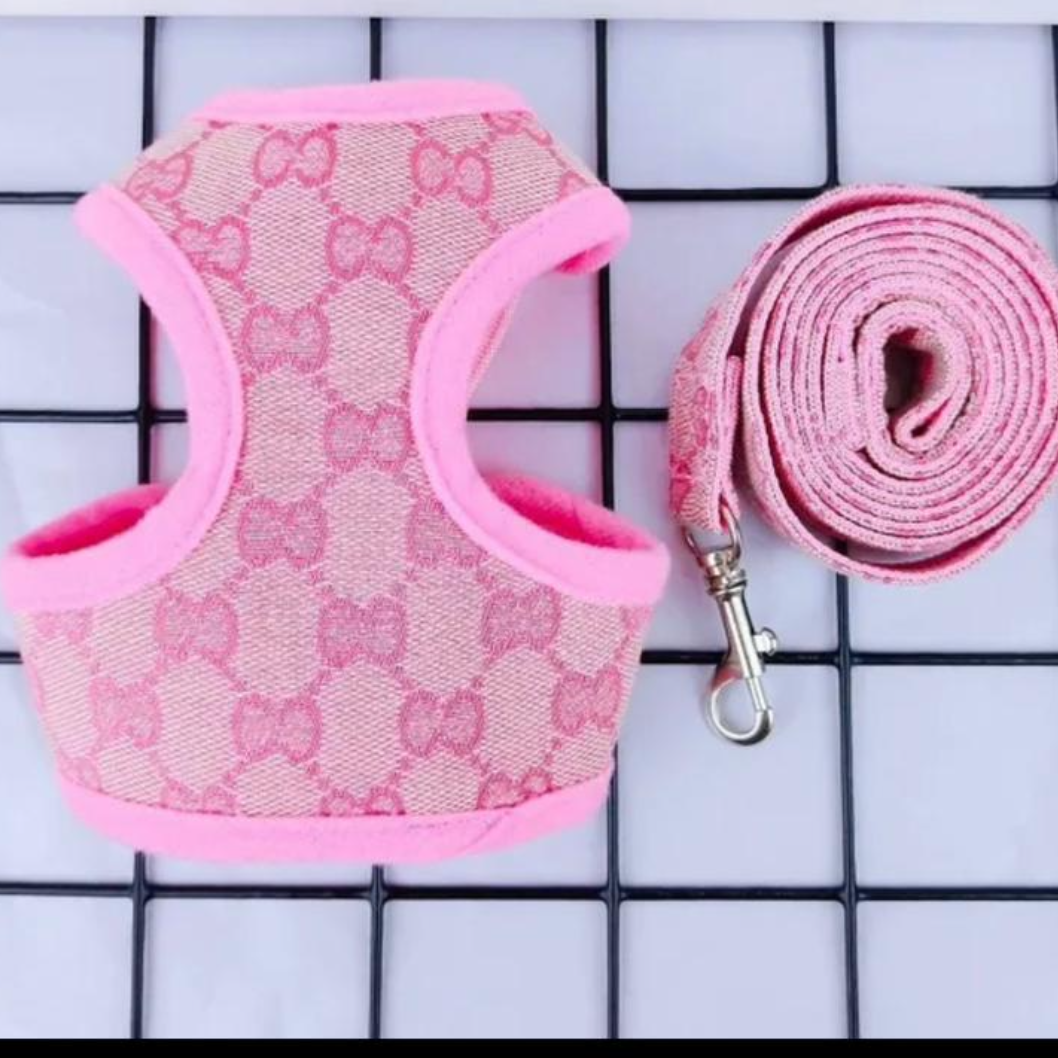 Luxus Geschirr-Set für Hunde